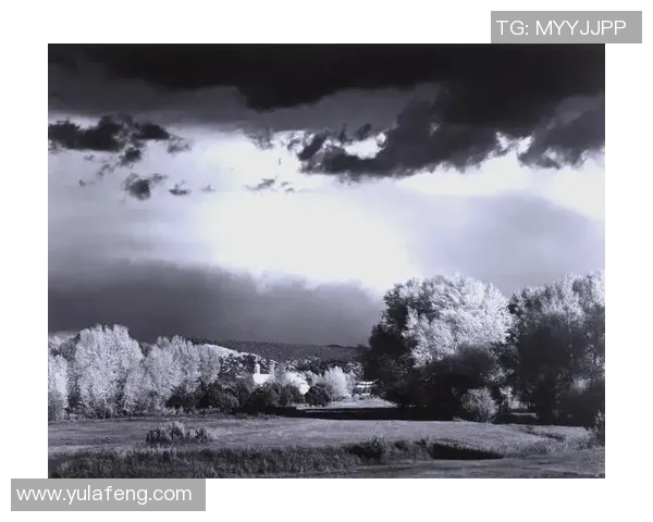 亚当斯：探索科学与人文交汇的智慧之旅与未来展望