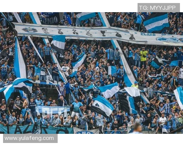 阿独立与格雷米奥的激烈对决揭示巴西足球的魅力与竞争力