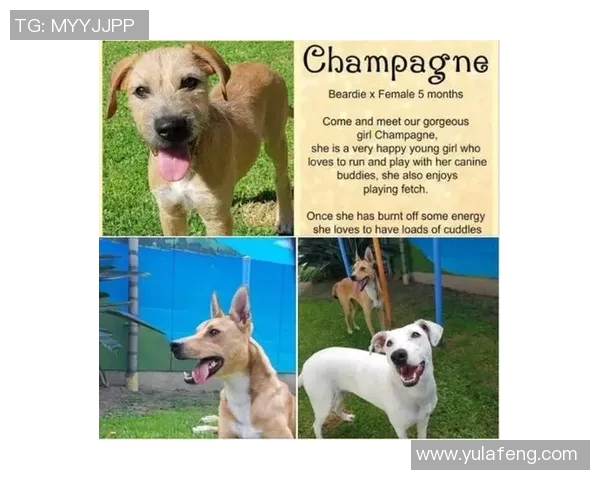 U21对阵泰国精彩直播全程回顾与赛后分析尽在这里